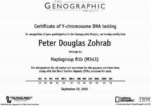 Certificate of Y-chromosome DNA-testing